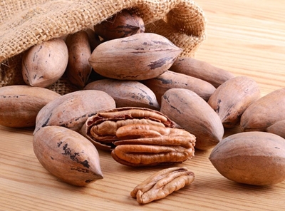 Farming with pecan nuts: Preparation needed