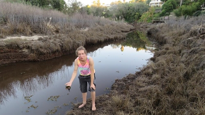 Sewage spills, Kariba weed must be sorted