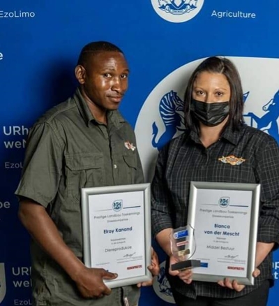 Plett workers take top honours