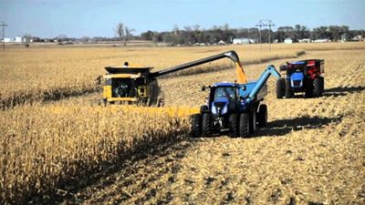 Zimbabwean farmers claim R1,9 billion from SA government