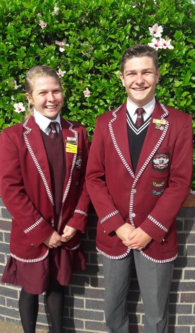 Crewe-Browns in OP-proewe