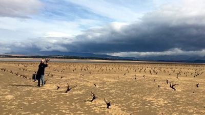 ANC in the Western Cape slams DA over water crisis management