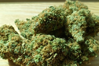 Man arrested with 42kg of dagga