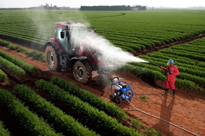 Farming hygiene practices can help protect agricultural value chain