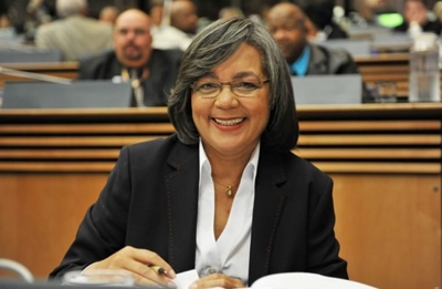 De Lille roots out corruption in Beitbridge fence project