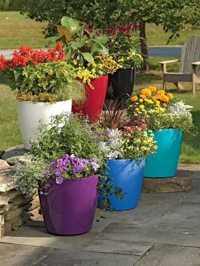 Use planter colour to optimise growth