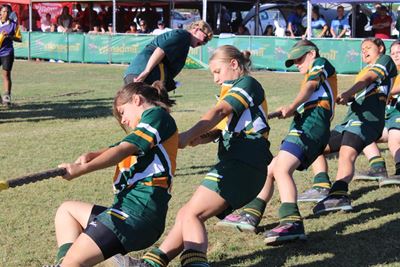 Toue trek styf in Oudtshoorn
