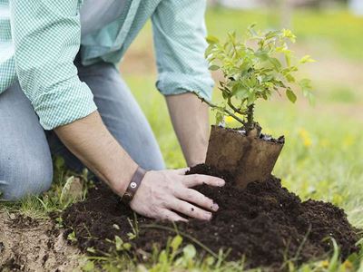 Garden design for new homeowners