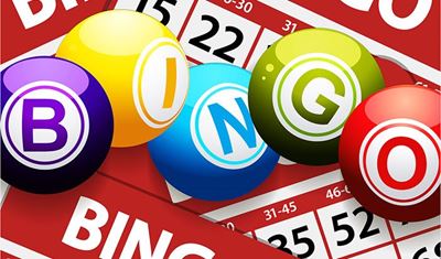 Enjoy Christmas bingo with SPCA
