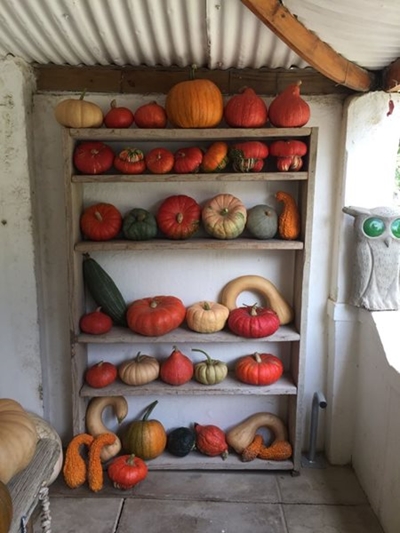Pumpkin fun for the whole family