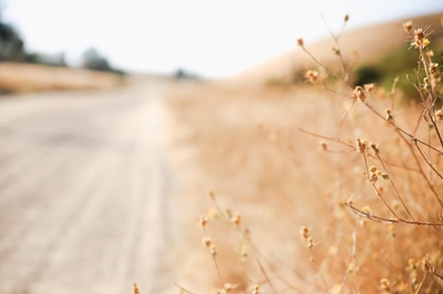 Regering bewillig R25 miljoen vir droogte