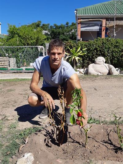 'n Groentetuin vir almal