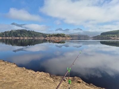 Garden Route Dam level at 53,22%