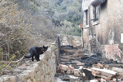 MOSSEL BAY FIRE UPDATE: Fire largely contained