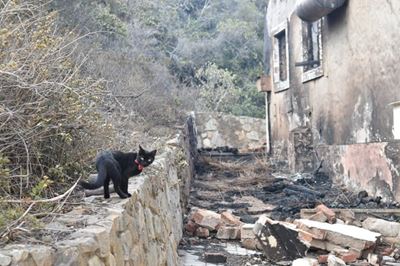 MOSSEL BAY FIRE UPDATE: Fire largely contained