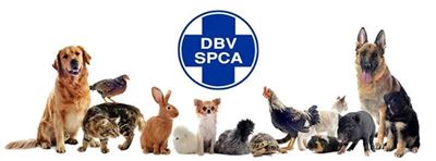 Jonges soek hulp vir Mandeladag-projek