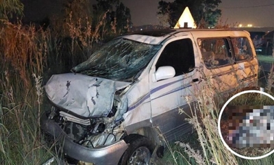 Centurion: Hippo killed in collission with car