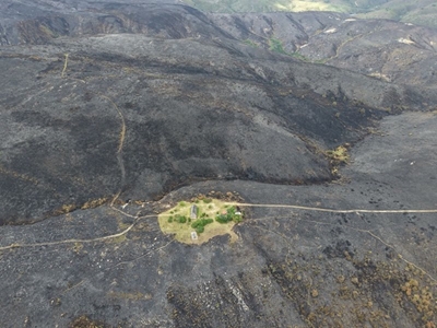  Lack of government funding for fighting invasive plants poses a challenge