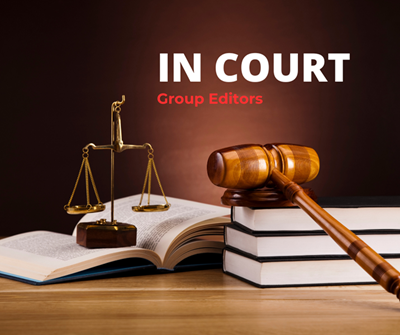 Expropriation Act in court: Experts on whether the DA has a strong case