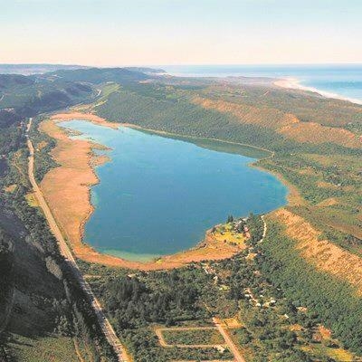 Groenvlei wetlands at risk