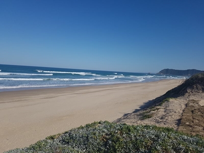 Shark: Myoli Beach closed