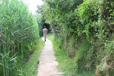 Take a hike...