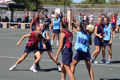Kwaggas is sport se baas
