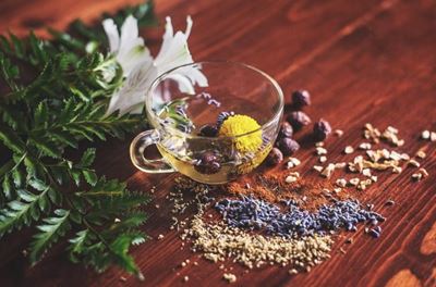 The best herbs to grow for tea