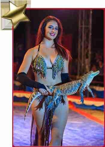 Circus is no animal farm