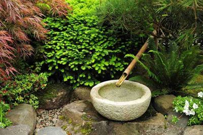 Create your own Zen garden