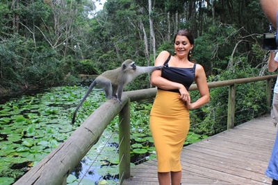 'Monkey' out of the bag in reality TV show