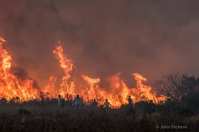 Benefit concert for wildfire victims