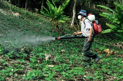 Poison-free cities and towns are possible