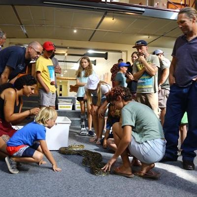 A closer look at snakes
