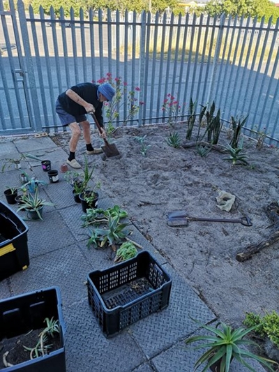 Tehuise se tuine blom weer