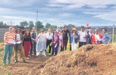 Local farms thrive with participatory guarantee systems