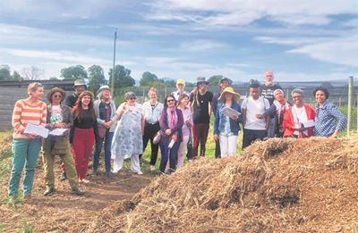 Local farms thrive with participatory guarantee systems