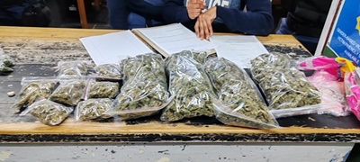 Nine suspects arrested over the weekend
