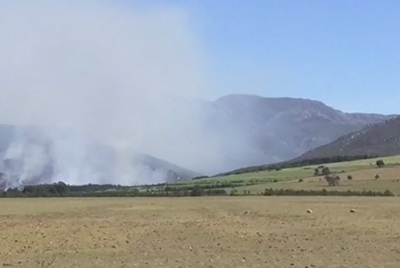 Fire: 400 hectares of plantation destroyed