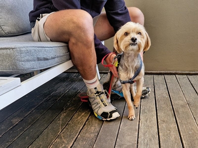 New policy in Garden Route for dog-friendly dining