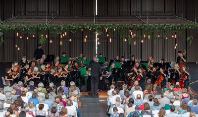 Weense walse en polkas met Viennese Delights