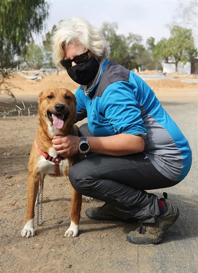 Pet euthanasia a painful decision