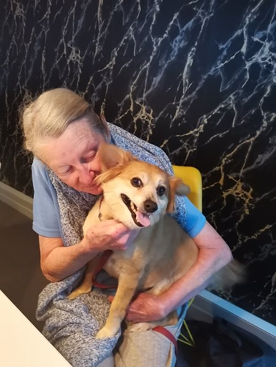 Hond vir wie gedenkplaat opgerig is opgespoor