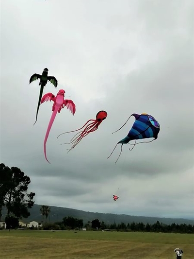 Kite fest at Karatara