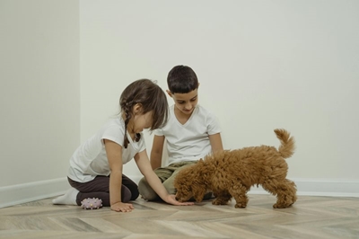 Children and dogs 