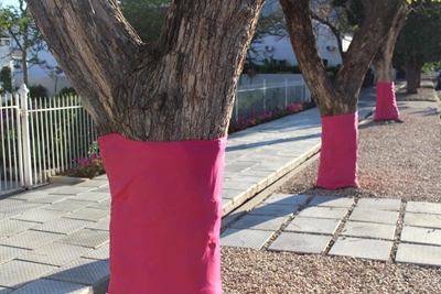 Town turns pink for cancer awareness