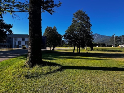 'No-mow' eco-islands help bee populations