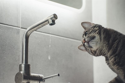 TNPA issues: Request for information on desalination plants