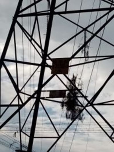 Storm causes power outages around Johannesburg