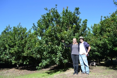 Eerste makadamia-boere woel steeds
